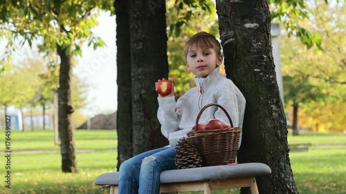 Adorable little child, boy in park on autumn day, beautiful sunny day, basket with apples, kid eating fruit