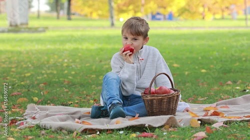 Adorable little child, boy in park on autumn day, beautiful sunny day, basket with apples, kid eating fruit