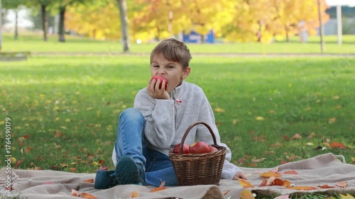 Adorable little child, boy in park on autumn day, beautiful sunny day, basket with apples, kid eating fruit