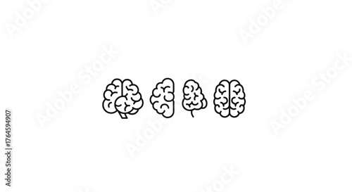 Multiple hand drawn brain anatomical views showing different perspectives for medical science and learning vector