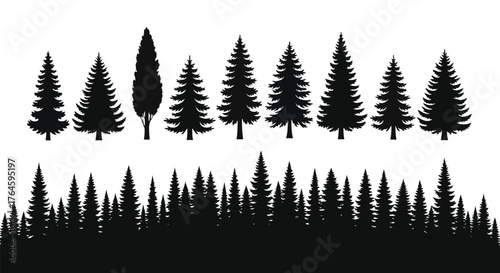 Diverse Silhouettes Collection of Pine and Fir Trees for Nature and Forest-Themed Designs
