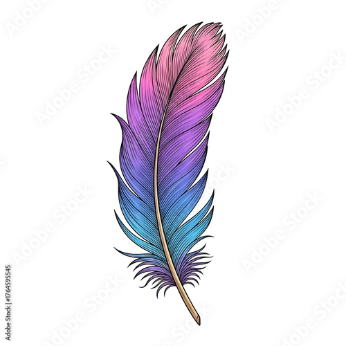 Digital illustration of a vibrant feather, featuring pink, purple, and blue hues, with a light brown shaft, intricate texture, and white background, showcasing artistic and whimsical style.