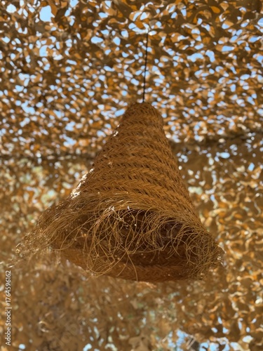 Woven rattan lampshade hanging under sunlit canopy
