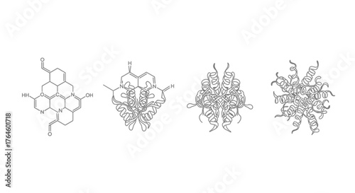 Diverse molecular structures scientific diagrams representing complex organic chemistry and biochemistry vector