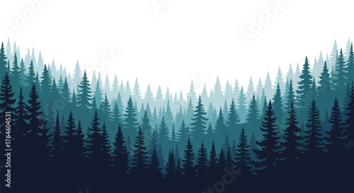 Serene Evergreen Forest Landscape with Tall Pine Trees Under a Bright Sky