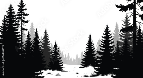 Serene Forest Silhouette A Black and White Landscape Depicting Nature's Beauty, Trees and Woods