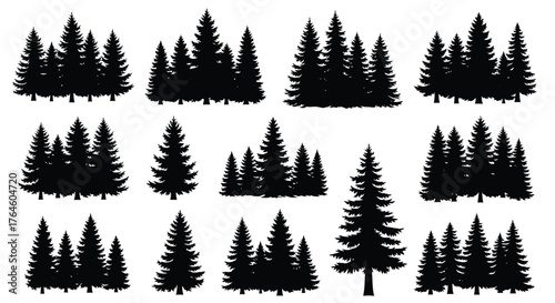 A collection of black pine tree silhouettes and fir forest icons. Vector graphic set for nature and landscape design elements