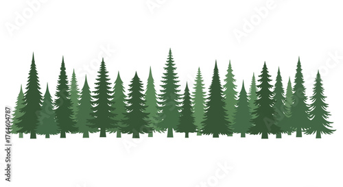 Line of Evergreen Trees in a Forest A Vector Illustration of Nature and the Outdoors