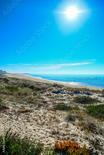 Long Portuguese coast with sea and natural vegetation