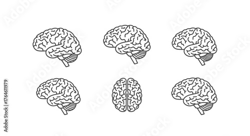 Diverse anatomical brain views hand drawn sketch collection scientific medical intelligence concept vector