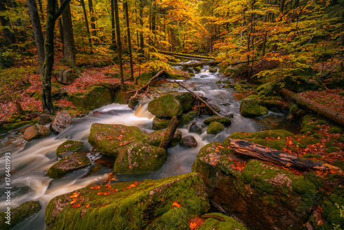 Fantasy and dark autumn forest with the best mystic atmosphere in the north of Bohemia, in Jizera mountains. like a fairy tale with pure water rivers and magic waterfalls.