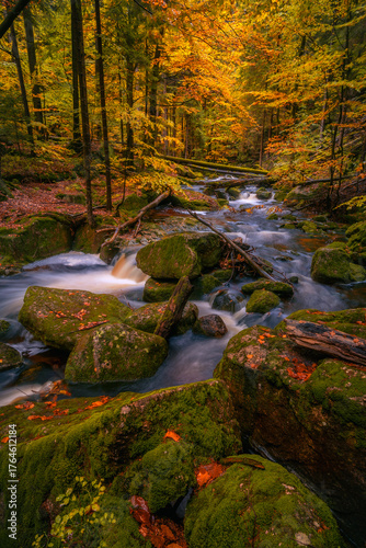 Fantasy and dark autumn forest with the best mystic atmosphere in the north of Bohemia, in Jizera mountains. like a fairy tale with pure water rivers and magic waterfalls.