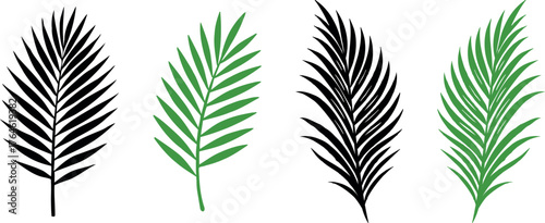 Elegant tropical palm leaf vector set featuring black silhouettes and green botanical fronds. Perfect for summer, beach, jungle, or tropical graphic design and print projects.