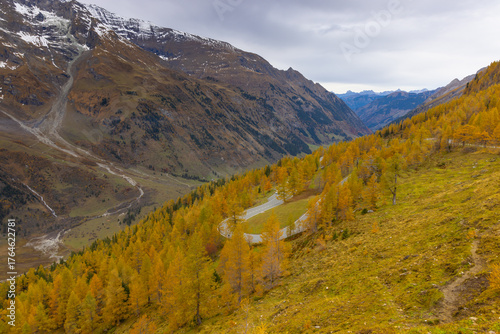 Herbstimpressionen, Landschaftspanorama, Lärchen, Indian Summer, 