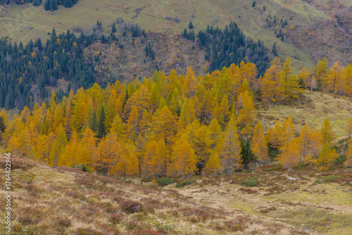 Herbstimpressionen, Landschaftspanorama, Lärchen, Indian Summer, 