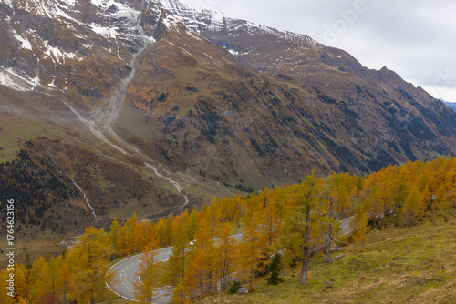 Herbstimpressionen, Landschaftspanorama, Lärchen, Indian Summer, 