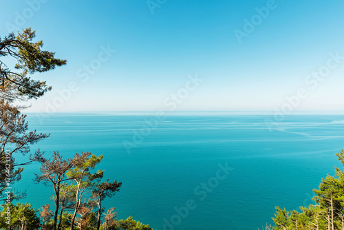 The horizon of the sea from a high point, with by green branches of trees.  View of the calm sea from above the trees. A natural setting, relaxation, and water activities. The blue sea and the foliage