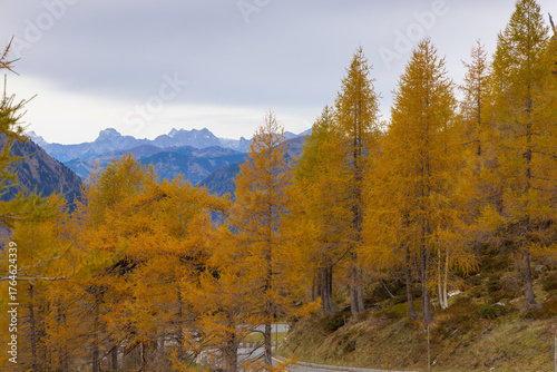 Herbstimpressionen, Landschaftspanorama, Lärchen, Indian Summer, Pinzgau, Großglocknerstrasse, Großglockner.