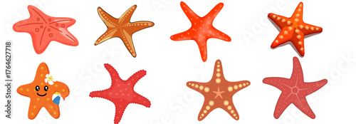 Set of Vector illustration of star fish 