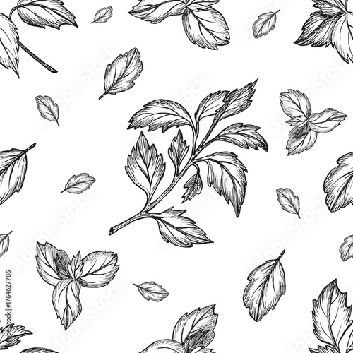 Basil leave seamless pattern in graphic style. Leaf vegetable healthy food. Greenery. Hand drawn ink art without background. For your design, packaging spices, greengrocery, kitchen textile, logo.