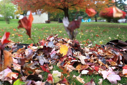 Rake, tarp and leaf pile in a suburban backyard on a fall day