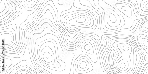 Abstract gray topography contour map background design .  Business concept. Fish Fillet Texture, Salmon fillet texture, fish pattern. paper texture.