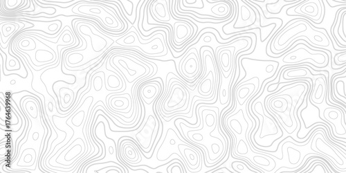 Abstract gray topography contour map background design .  Business concept. Fish Fillet Texture, Salmon fillet texture, fish pattern. paper texture.