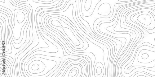 Abstract gray topography contour map background design .  Business concept. Fish Fillet Texture, Salmon fillet texture, fish pattern. paper texture.