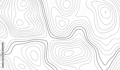 Abstract gray topography contour map background design .  Business concept. Fish Fillet Texture, Salmon fillet texture, fish pattern. paper texture.