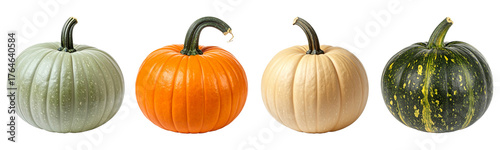 Four unique pumpkins with different colors and textures 