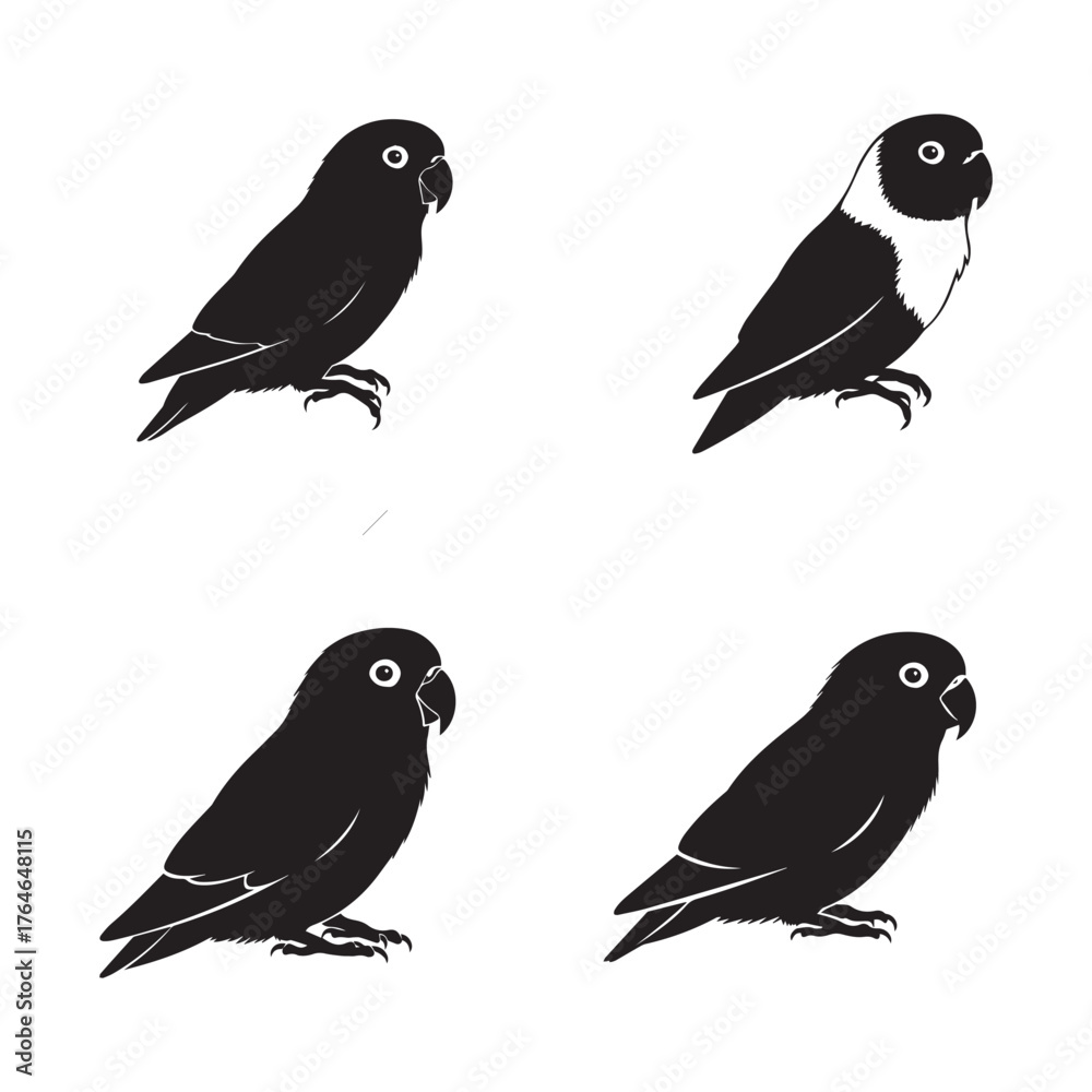 Fototapeta premium vector