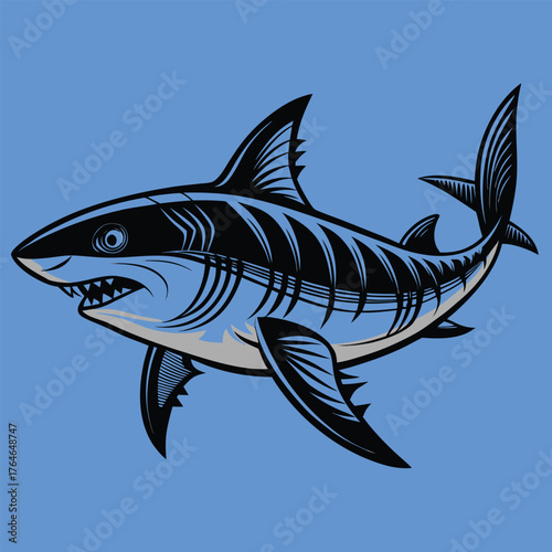 Black and grey shark illustration on blue background