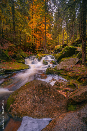 Fantasy and dark autumn forest with the best mystic atmosphere in the north of Bohemia, in Jizera mountains. like a fairy tale with pure water rivers and magic waterfalls.