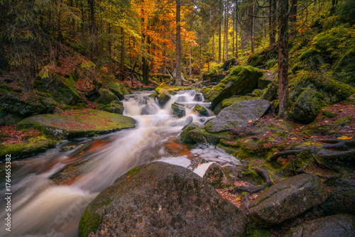 Fantasy and dark autumn forest with the best mystic atmosphere in the north of Bohemia, in Jizera mountains. like a fairy tale with pure water rivers and magic waterfalls.