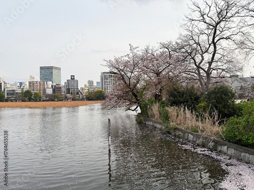 View of a city park with skyscrapers in the background in Tokyo, Japan