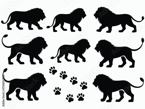 Collection of lion silhouettes and paw prints for wildlife logo or mascot design