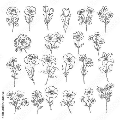 Floral Line Art Collection flower illustration drawing sketch rose tulip lily daisy botanical nature plant vector design artwork