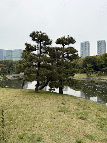 
View of a city park with skyscrapers in the background in Tokyo, Japan
