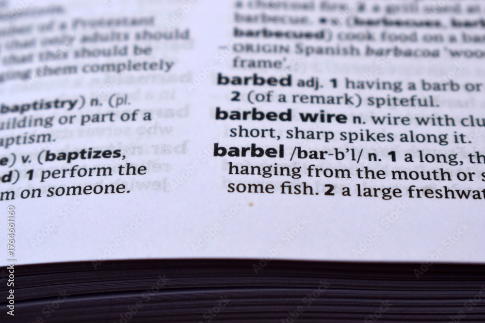 Fototapeta premium English Dictionary Page Close Up With the Word Of -barbel