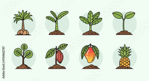 8 plants palm banana seedling mango cacao pineapple and tree illustrations in a row over a pale green background