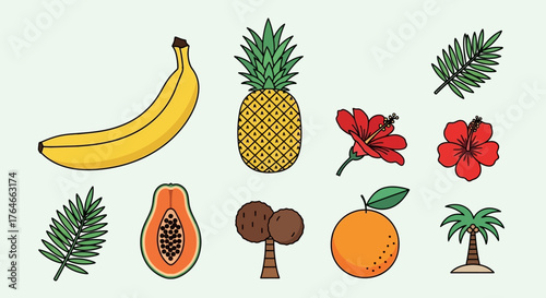 A collection of tropical items including fruits flowers and trees on a light backdrop