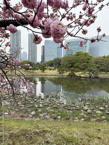View of a city park with skyscrapers in the background in Tokyo, Japan