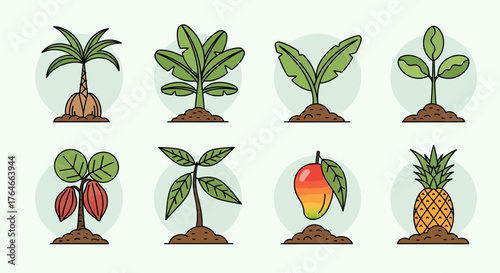 A variety of young fruit plants sprouting from soil against light green backgrounds