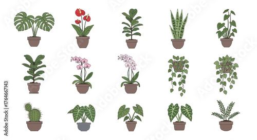 Fifteen potted plants a variety of foliage and flowers in brown and grey pots arranged in a grid