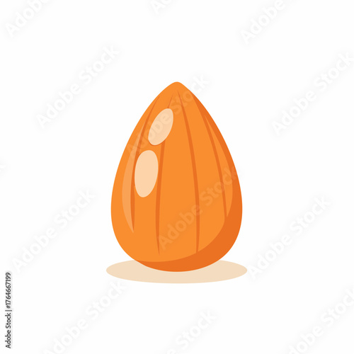 Orange almond illustration, healthy food concept
