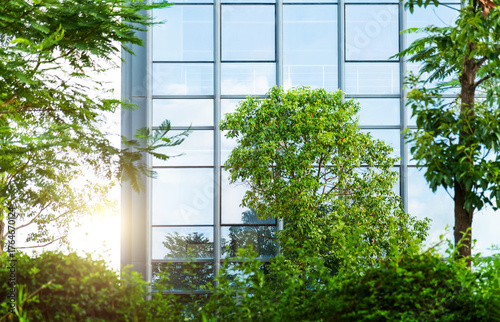 Green plants outside the office building