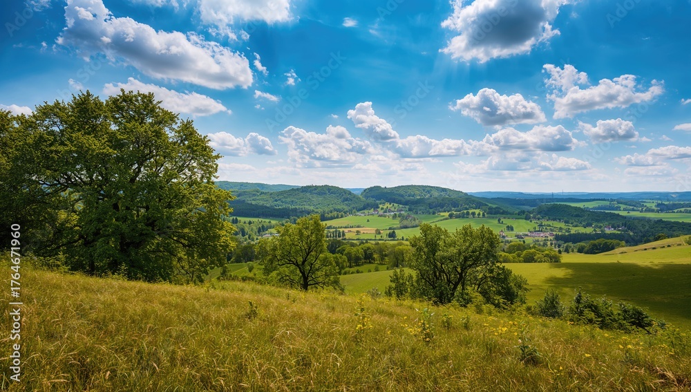 Obraz premium Aerial perspective of large trees overlooking a mountainous region