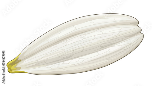 A single white petal with a yellow base featuring intricate veining