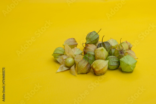 Physalis angulata fruit