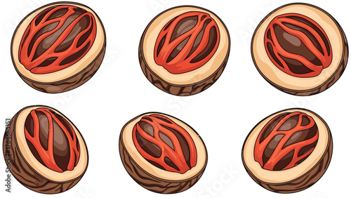 Six halved nutmegs with visible arils